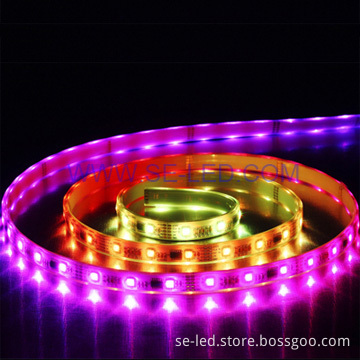60pcs 5050 SMD Decorative IP65 LED Strip
